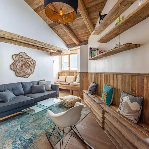 Top floor appartment, ski in ski out, superb view, hotel en La Daille