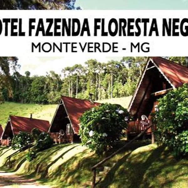 Hotel Fazenda Floresta Negra, hotel in Monte Verde