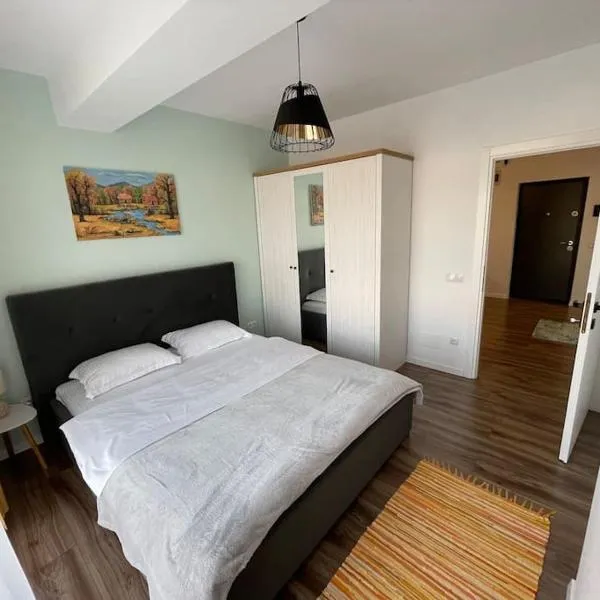 Spacemax, hotel in Baia Mare