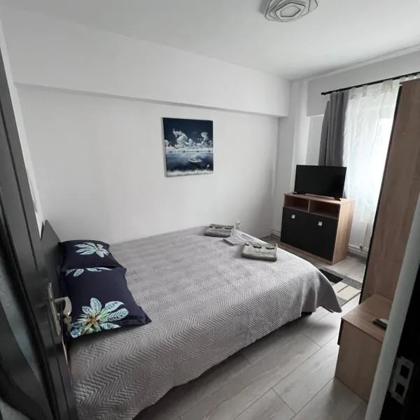 Victoria apartment Miercurea Ciuc、ミエルクレア・チュクのホテル