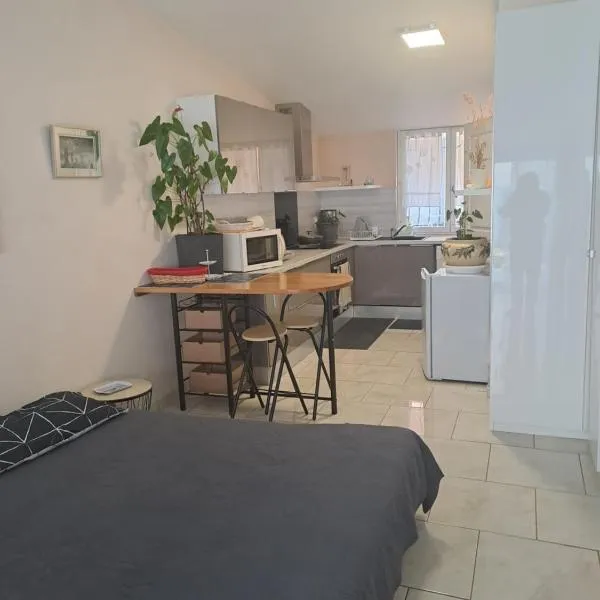 Chez Sabine et Pascal, hotel v destinaci Meyzieu