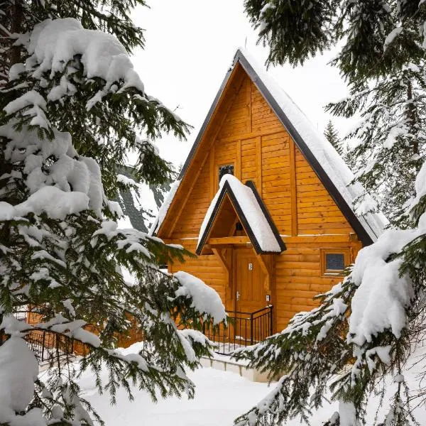 ZlatAir Eco Chalet, hotel v destinaci Nova Varoš
