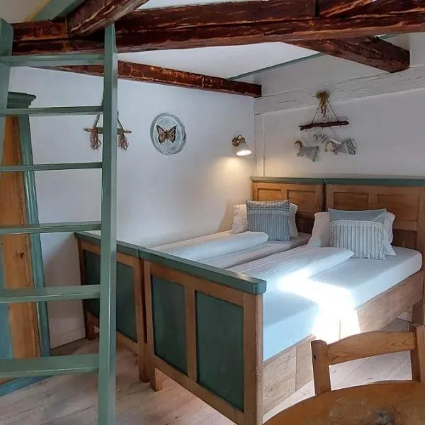 Apartmány Javorek, hotel ve Sněžné