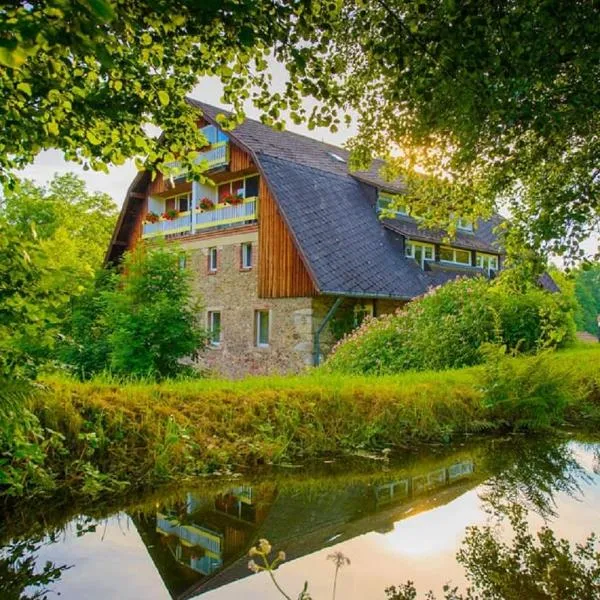 Hotel Frankenschleif, hotel in Schönthal