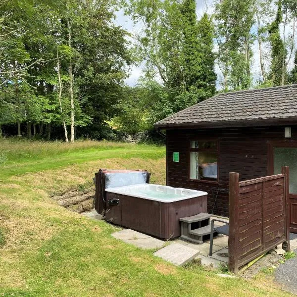 Birch Lodge 18 with Hot Tub, hotel v destinaci Newton Stewart