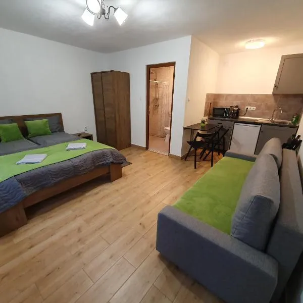 Kodaros Studio Parajd, hotel v destinaci Praid