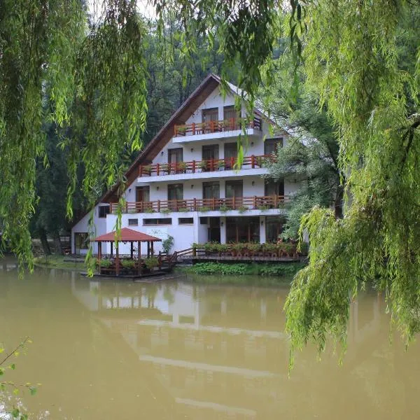 Guest house Lacul Linistit, hotel en Moneasa