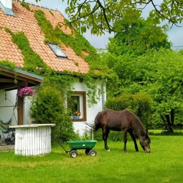 Apartamenty na wsi Horses&Relax, hotel in Młynary