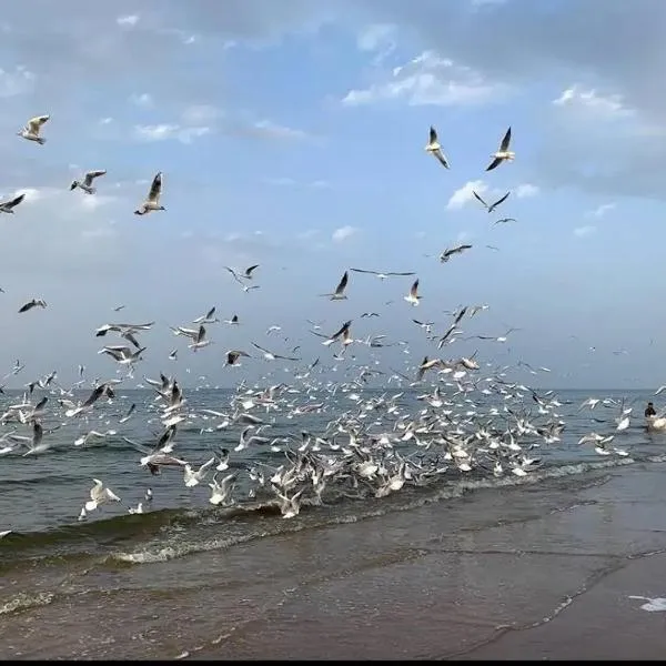 Muscat Homestay & Hospitality, hotel v destinaci Muscat