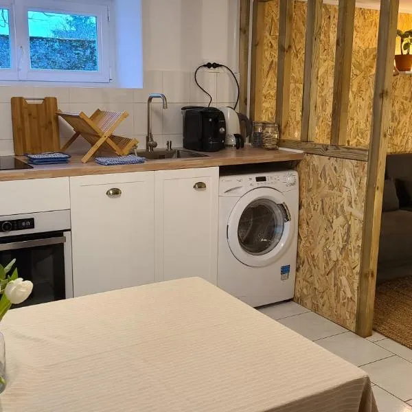 Le Petit Lavoir - Maison Cosy à Mayet, Hotel in Mayet