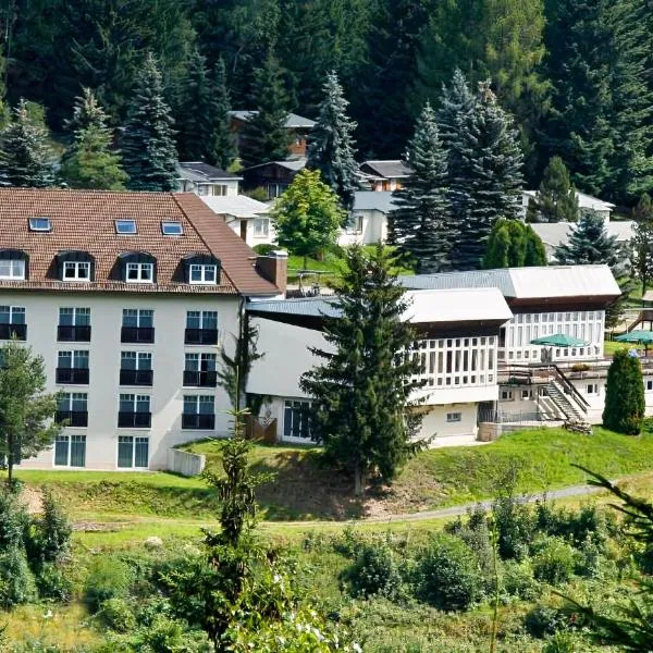 Waldhotel Feldbachtal, hotel in Gräfenthal