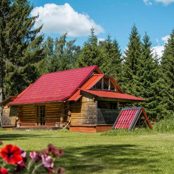 Väike Kuu peamaja, hotel in Kastre