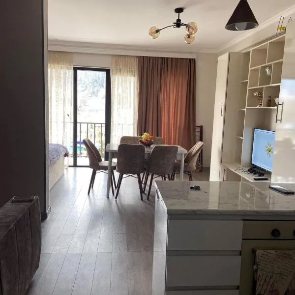 Vitali Apartment, hotel v destinaci Bordžomi
