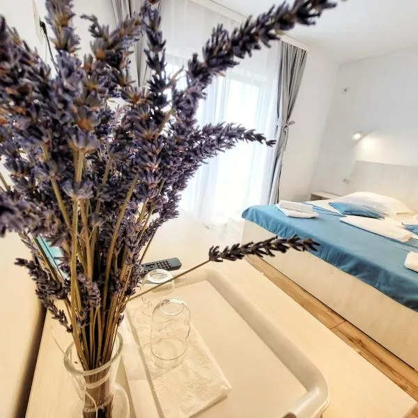 Casa Cochilia - Camera Privata in Localitatea Tuzla, Hotel in Tuzla