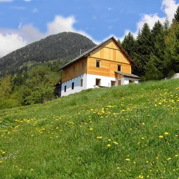 Karlbauer Hütte, ξενοδοχείο σε Lendorf