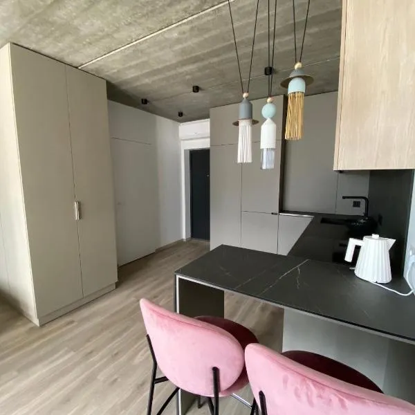 J. Ralio apartamentai (monkey), khách sạn ở Vilnius