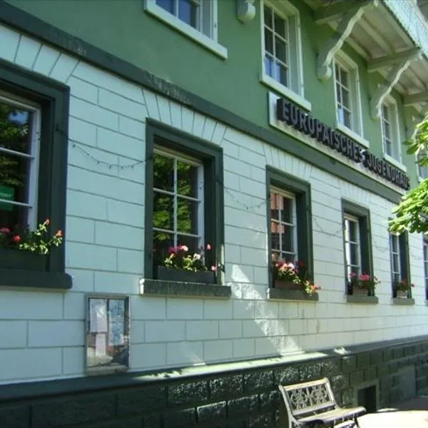 Europäisches Gäste- und Seminarhaus, hotel in Schönau im Schwarzwald