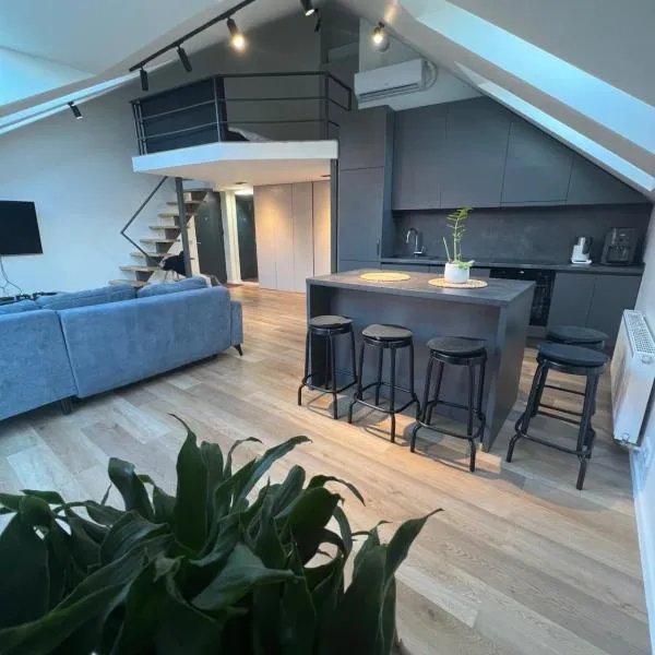 LOFT 1 BD Castle Apartament with free parking, hotel in Kaunas
