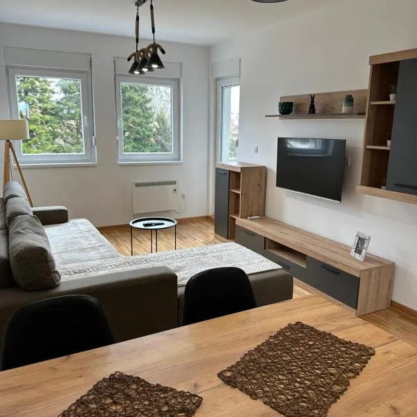 Apartment Aura 2, ξενοδοχείο στο Βελιγράδι