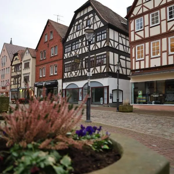 Romantisches Main Erlebnis, hotel en Gemünden am Main