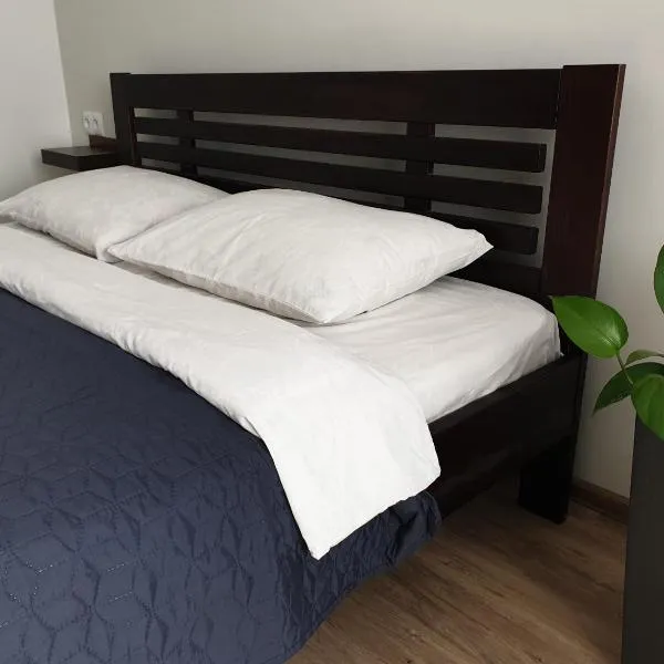 New apartment 1, hotel in Lviv