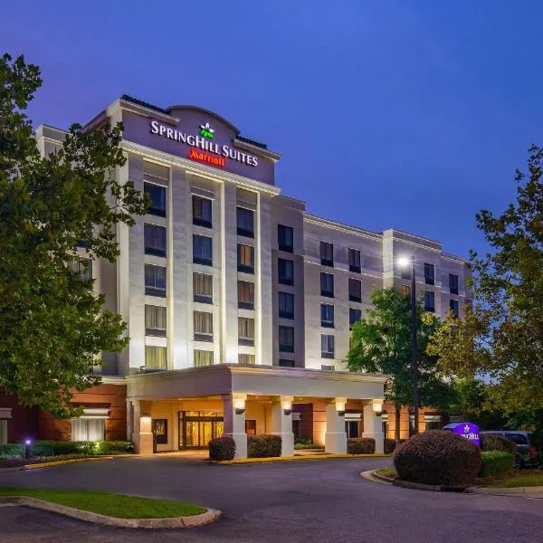 SpringHill Suites by Marriott Norfolk Virginia Beach, hotel in Virginia Beach