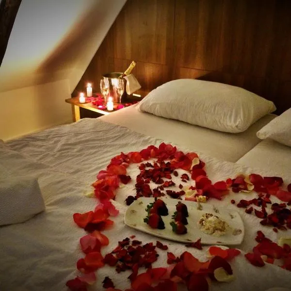 Bokun Apartments I, hotel v destinácii Sisak