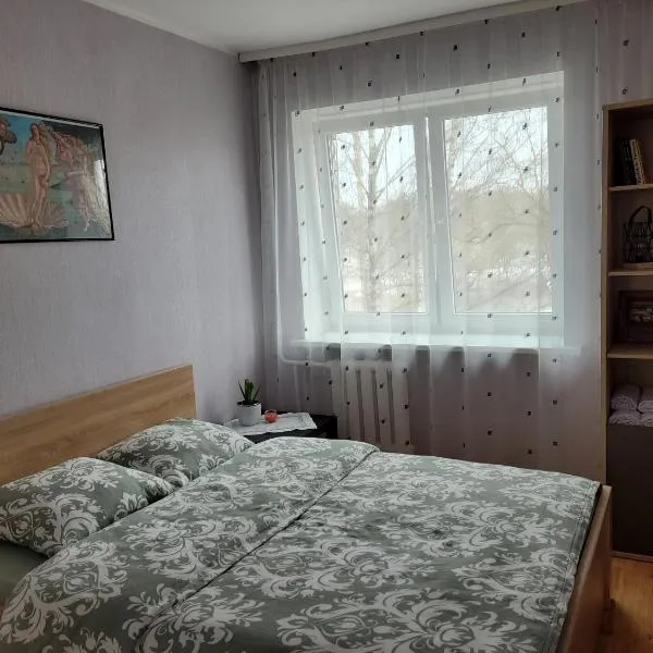 City apartment、イェルガヴァのホテル