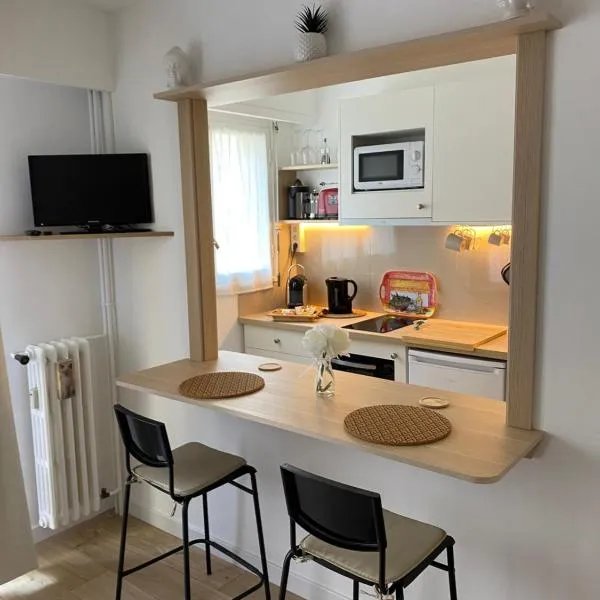 Appartement Maroelvi, hotel v Mentonu
