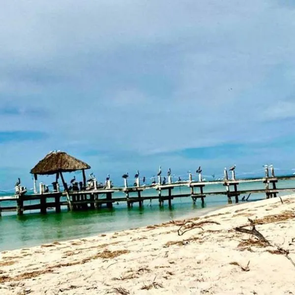Beachfront apartment with swimming pool. One bedroom, hotel in Celestún