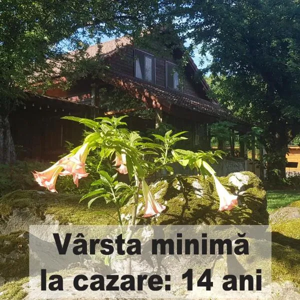 Casa Bunicului, hotel v destinaci Vistisoara