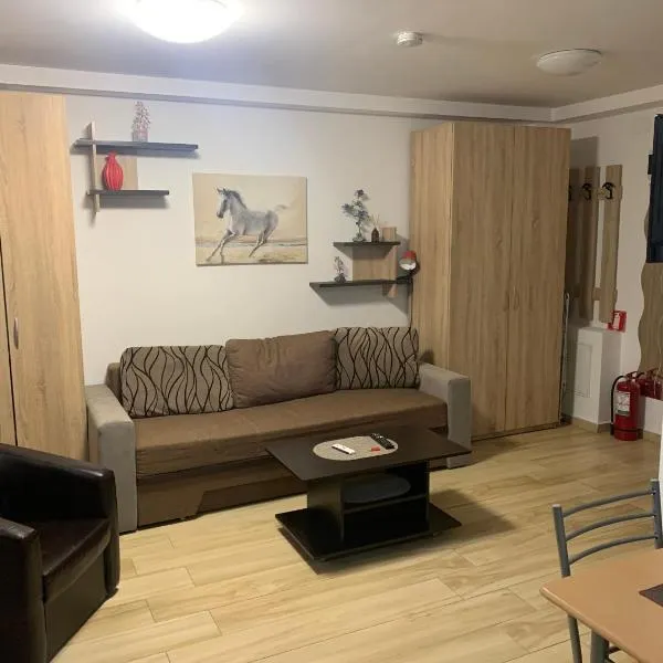 Studio Militari Residence MR_1, hotel v destinaci Roşu