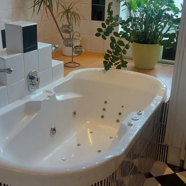 Apartment Belvedere, Hotel in Ostrava