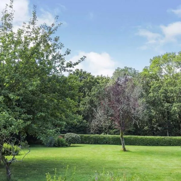 윔본 민스터에 위치한 호텔 Woodland House B & B