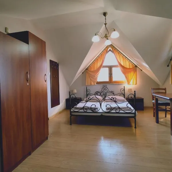 Willa Dzika Róża, hotel en Sandomierz