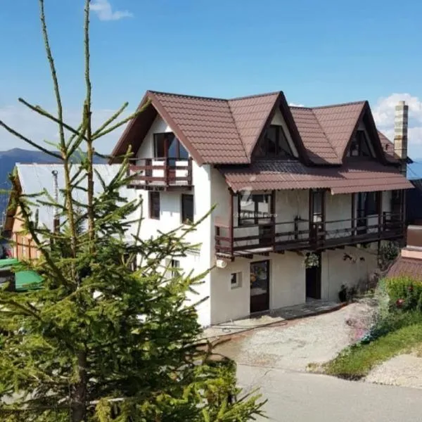 Cabana Antonia, hotel v destinaci Straja