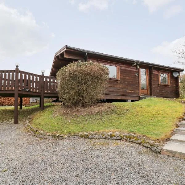 Snowy Owl Lodge, hotel in Rhayader