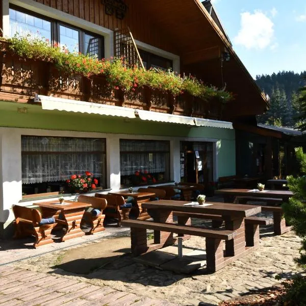 Penzión Lesnica, Hotel in Spišské Tomášovce