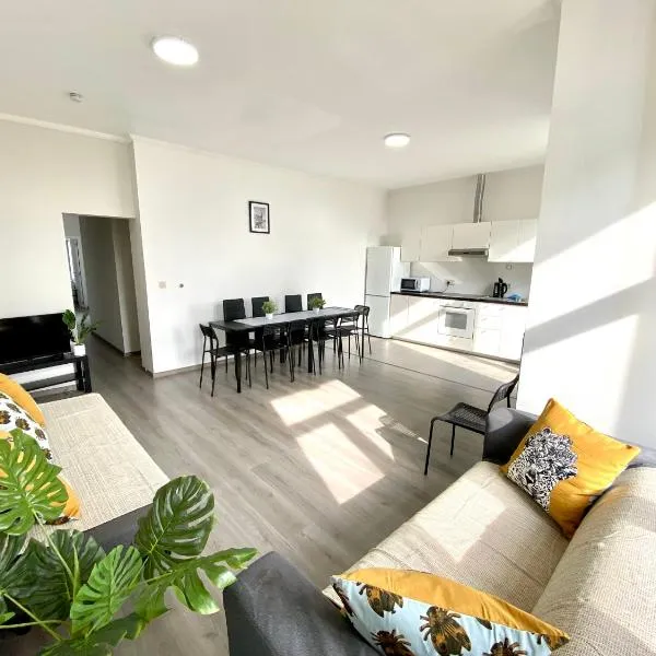 Apartments Plantin 3 sleeping rooms 2 bathrooms., hotel in Antwerp