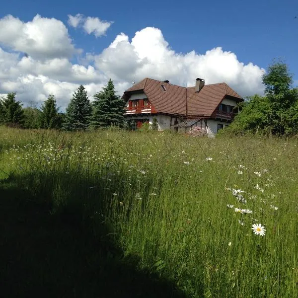 Penzion Harvanek, отель в городе Милови