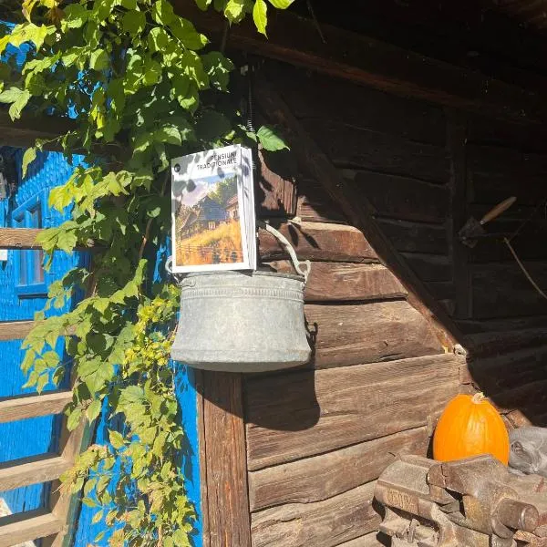 Casa de vacanta traditionala La Fanar, hotel v destinaci Schiuleşti