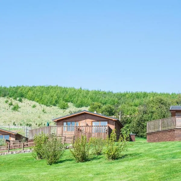 Kingfisher Lodge with Hot Tub, hotel v destinaci Cupar
