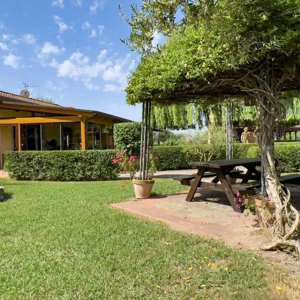 Agriturismo Terra Di Elea azienda agricola di Raimondo MIchela, hotel in Ascea
