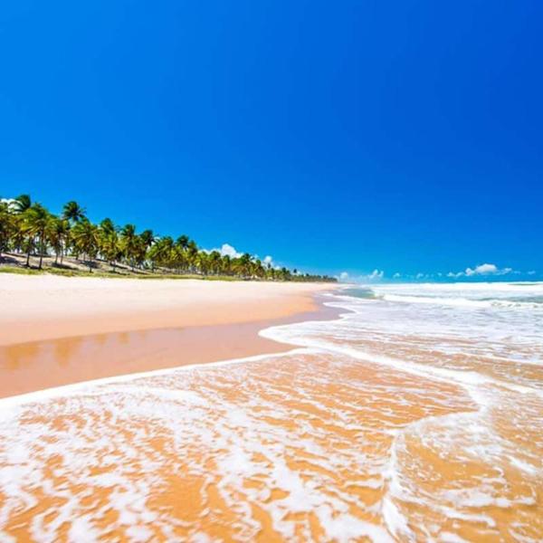 Paraíso na Reserva Imbassaí