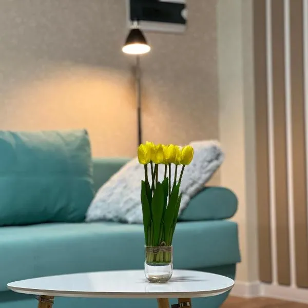 Hi-tech aparts, hotel in Chişinău