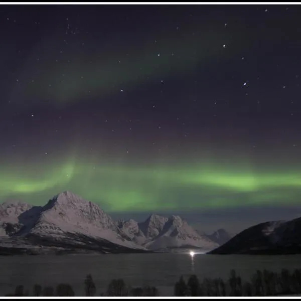 Lyngen Apartments, hotell i Svensby