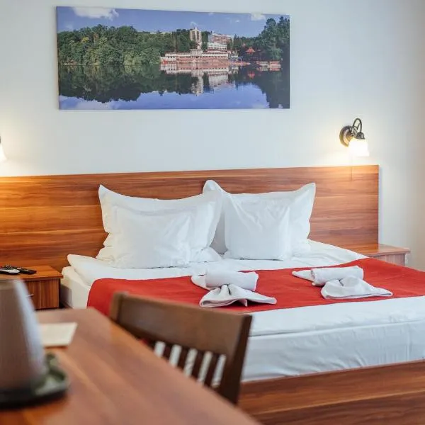 Pensiunea Comfort, hotel em Sovata