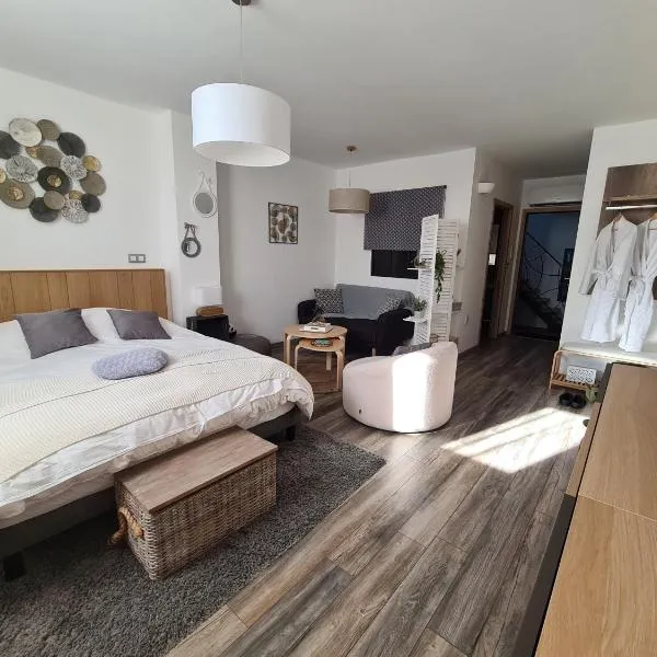 La suite Volupté - SPA du Souffle du Saule, hotel v destinaci Buhl-Lorraine