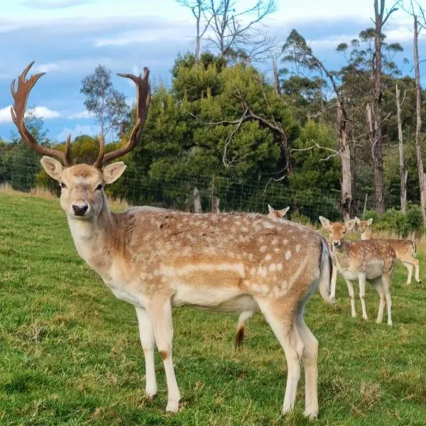 Wally's Edge 20acre Farm Stay, hotel in Rawson