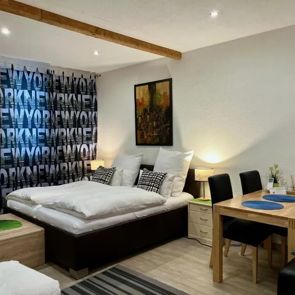 Pension Stadt Mannheim, hotel v destinaci Mannheim